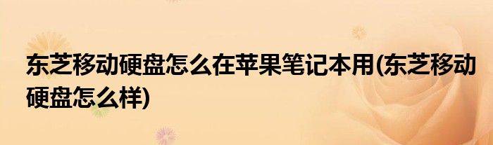 东芝移动硬盘怎么在苹果笔记本用(东芝移动硬盘怎么样)