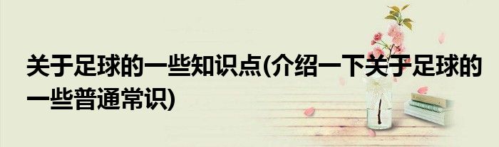 关于足球的一些知识点(介绍一下关于足球的一些普通常识)