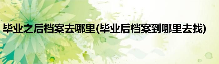 毕业之后档案去哪里(毕业后档案到哪里去找)