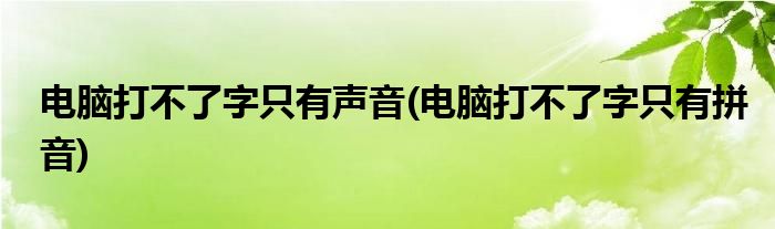 电脑打不了字只有声音(电脑打不了字只有拼音)