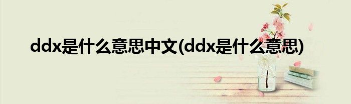 ddx是什么意思中文(ddx是什么意思)