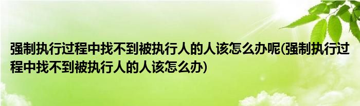 强制执行过程中找不到被执行人的人该怎么办呢(强制执行过程中找不到被执行人的人该怎么办)