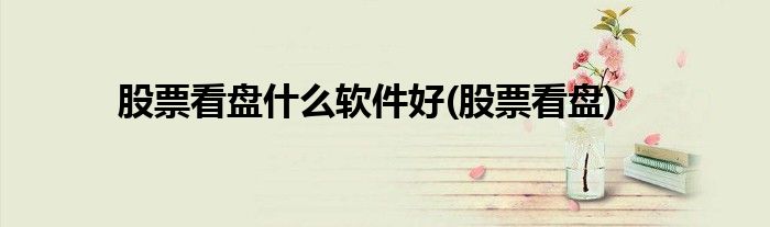 股票看盘什么软件好(股票看盘)