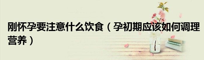 刚怀孕要注意什么饮食（孕初期应该如何调理营养）