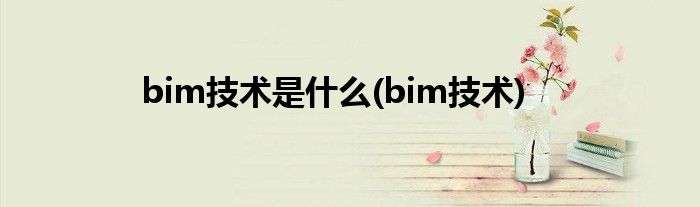 bim技术是什么(bim技术)