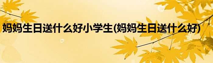 妈妈生日送什么好小学生(妈妈生日送什么好)