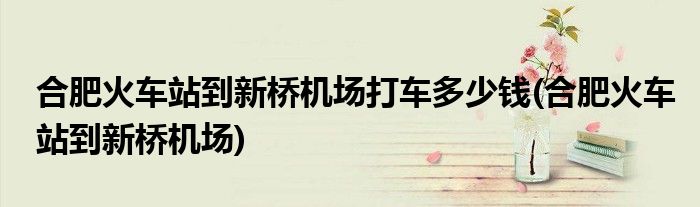 合肥火车站到新桥机场打车多少钱(合肥火车站到新桥机场)