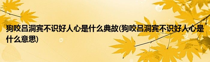 狗咬吕洞宾不识好人心是什么典故(狗咬吕洞宾不识好人心是什么意思)