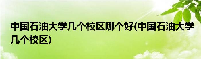 中国石油大学几个校区哪个好(中国石油大学几个校区)