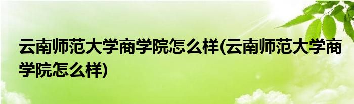 云南师范大学商学院怎么样(云南师范大学商学院怎么样)