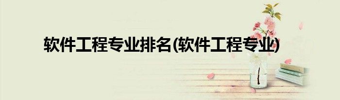 软件工程专业排名(软件工程专业)