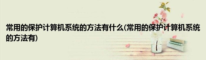 常用的保护计算机系统的方法有什么(常用的保护计算机系统的方法有)