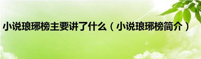 小说琅琊榜主要讲了什么（小说琅琊榜简介）