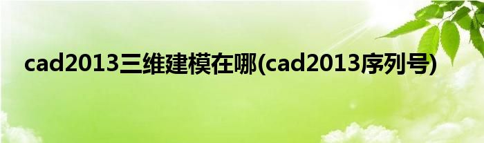 cad2013三维建模在哪(cad2013序列号)