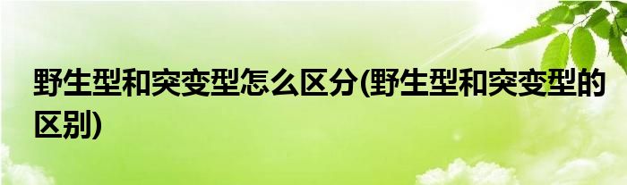 野生型和突变型怎么区分(野生型和突变型的区别)