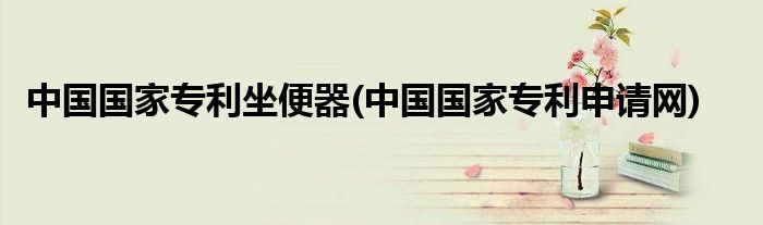 中国国家专利坐便器(中国国家专利申请网)