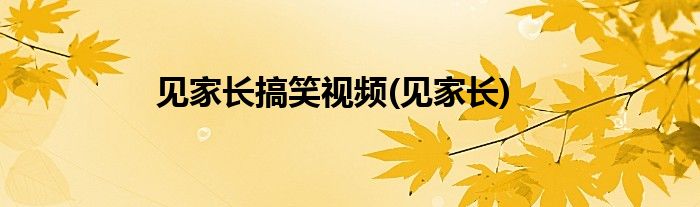 见家长搞笑视频(见家长)