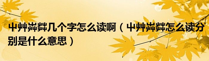 屮艸芔茻几个字怎么读啊（屮艸芔茻怎么读分别是什么意思）