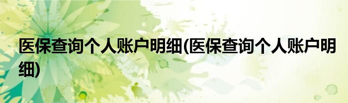医保查询个人账户明细(医保查询个人账户明细)