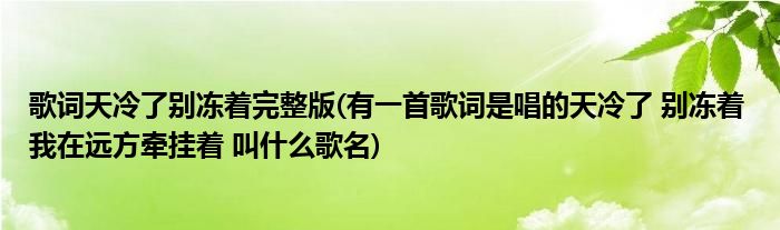 歌词天冷了别冻着完整版(有一首歌词是唱的天冷了 别冻着 我在远方牵挂着 叫什么歌名)