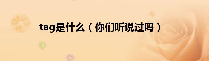 tag是什么（你们听说过吗）