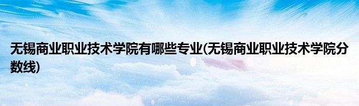 无锡商业职业技术学院有哪些专业(无锡商业职业技术学院分数线)