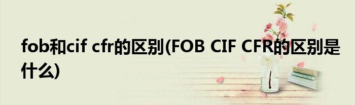fob和cif cfr的区别(FOB CIF CFR的区别是什么)