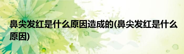 鼻尖发红是什么原因造成的(鼻尖发红是什么原因)