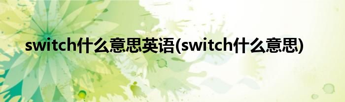 switch什么意思英语(switch什么意思)