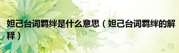 妲己台词羁绊是什么意思（妲己台词羁绊的解释）