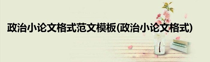 政治小论文格式范文模板(政治小论文格式)