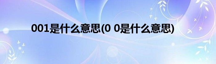 001是什么意思(0 0是什么意思)