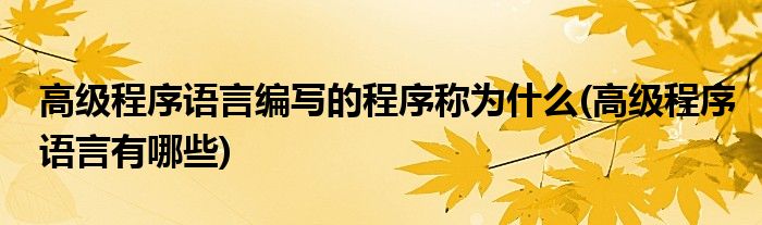 高级程序语言编写的程序称为什么(高级程序语言有哪些)