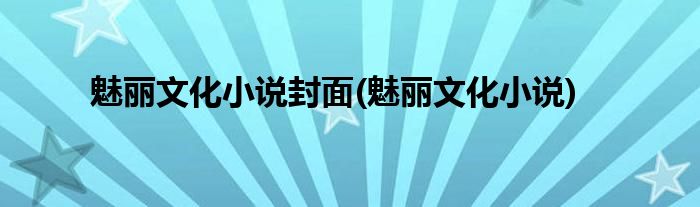 魅丽文化小说封面(魅丽文化小说)