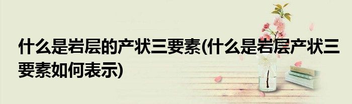 什么是岩层的产状三要素(什么是岩层产状三要素如何表示)