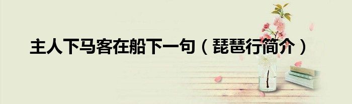 主人下马客在船下一句（琵琶行简介）