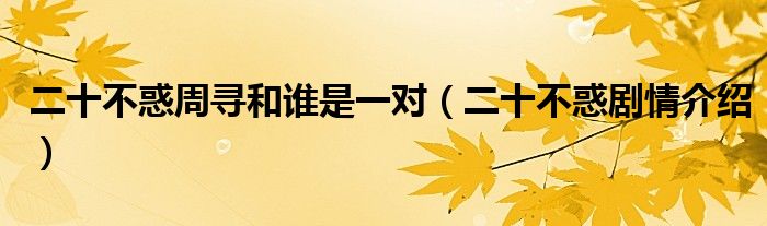 二十不惑周寻和谁是一对（二十不惑剧情介绍）