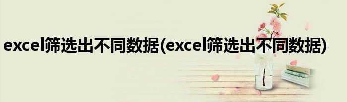 excel筛选出不同数据(excel筛选出不同数据)