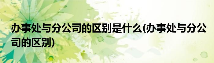 办事处与分公司的区别是什么(办事处与分公司的区别)