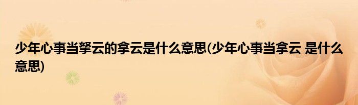 少年心事当拏云的拿云是什么意思(少年心事当拿云 是什么意思)