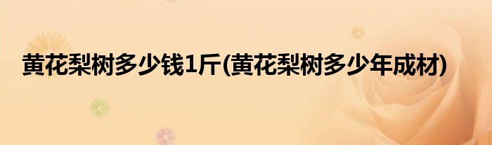 黄花梨树多少钱1斤(黄花梨树多少年成材)