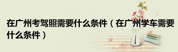 在广州考驾照需要什么条件（在广州学车需要什么条件）