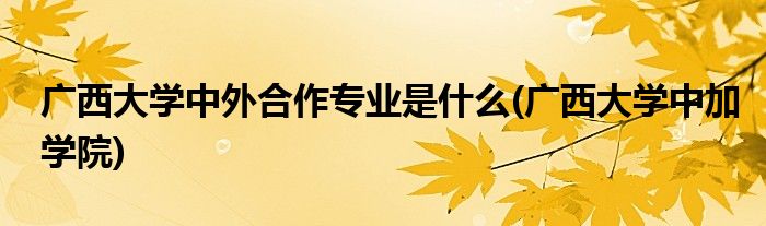 广西大学中外合作专业是什么(广西大学中加学院)