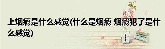 上烟瘾是什么感觉(什么是烟瘾 烟瘾犯了是什么感觉)