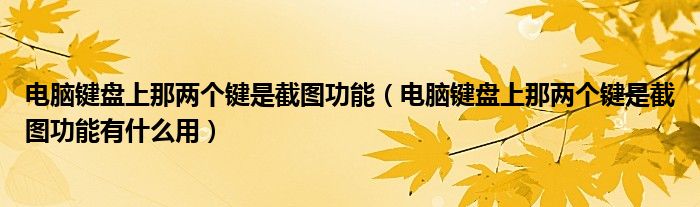 电脑键盘上那两个键是截图功能（电脑键盘上那两个键是截图功能有什么用）