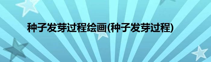 种子发芽过程绘画(种子发芽过程)