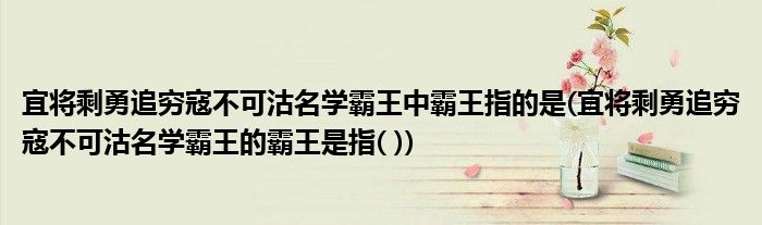 宜将剩勇追穷寇不可沽名学霸王中霸王指的是(宜将剩勇追穷寇不可沽名学霸王的霸王是指( ))