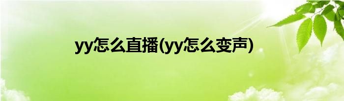 yy怎么直播(yy怎么变声)