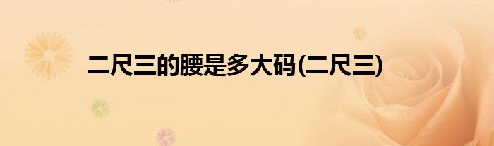 二尺三的腰是多大码(二尺三)