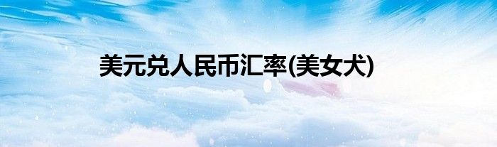美元兑人民币汇率(美女犬)